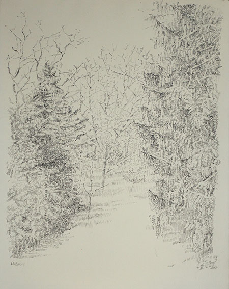 Out the kitchen window, pencil on paper