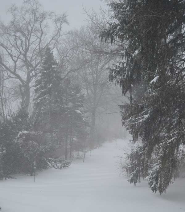 snowstorm Juno
