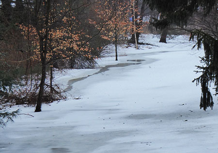 Winter stream