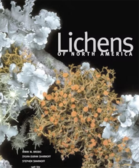 Lichens of North America